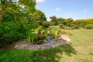 Photo 19- click for photo gallery